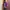 Gorpcore Sportswear Windbreaker Pria purple photo 3