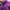 Gorpcore Sportswear Windbreaker Pria purple photo 6