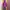Gorpcore Sportswear Windbreaker Pria purple photo 2
