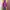 Gorpcore Sportswear Windbreaker Pria Purple