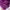 Gorpcore Sportswear Windbreaker Pria purple photo 4