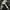 Vintage Streetwear Short Pria white black photo 6