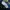 Adidas Sportswear Jersey Pria navy photo 7