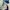 Le Coq Sportif Casual Hoody Pria white blue photo 5