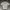 Stussy Streetwear Y2K T-shirt Pria Multicolor