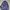 JanSport Casual Bag Pria blue photo 1