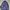 JanSport Casual Bag Pria Blue