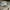 Adidas Streetwear Sportswear Sneakers Pria white green photo 3
