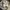 Adidas Streetwear Sportswear Sneakers Pria white green photo 1