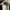 Adidas Streetwear Sportswear Sneakers Pria white green photo 5