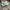 Adidas Streetwear Sportswear Sneakers Pria white green photo 2