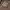 Kangol Streetwear Luxury Hat Pria brown photo 7