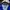 Adidas Sportswear Bomber jacket Pria blue photo 4