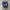 Adidas Streetwear Casual Sneakers Pria white navy photo 4