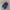 Adidas Streetwear Casual Sneakers Pria white navy photo 3