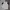 Vintage Streetwear Polo shirt Pria white black photo 2