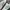 Adidas Streetwear Casual Sneakers Wanita white green photo 2