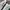 Adidas Streetwear Casual Sneakers Wanita White Green