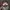 Realtree Luxury Hat Pria multicolor photo 4