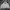 Nike Sportswear Windbreaker Pria white black photo 1