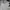 Nike Sportswear Windbreaker Pria white black photo 7