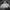Nike Sportswear Windbreaker Pria white black photo 2