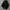Adidas Streetwear Casual Casual shirt Pria white black photo 7