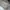 Onitsuka Tiger Casual Sneakers Pria white photo 5