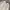 LAINE Casual Casual shirt Pria khaki gray photo 3