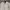 LAINE Casual Casual shirt Pria khaki gray photo 2