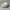 Kangol Streetwear Luxury Hat Pria tan cream photo 5