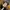 Converse Vintage Casual shirt Pria black yellow photo 4
