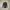 Under Armour Sportswear Jersey Pria gray photo 2