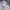 LAINE Muslim Formal shirt Pria white photo 2