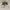 Converse Casual Sneakers Wanita white photo 2