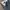 Japanese brand Luxury Casual Casual pants Pria gray photo 3