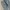 Japanese brand Luxury Casual Casual pants Pria gray photo 6