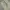 Japanese brand Luxury Casual Casual pants Pria cream photo 5