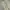 Japanese brand Luxury Casual Casual pants Pria cream photo 2