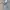 Topten Vintage Casual Casual pants Pria gray photo 3