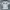 Vintage Streetwear T-shirt Pria cream photo 2