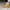 Converse Indie Sneakers Wanita yellow photo 1