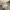 Nike Air Jordan Sportswear Sneakers Pria white photo 2