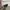 Nike Air Jordan Sportswear Sneakers Pria white photo 1