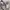 Nike Air Jordan Sportswear Sneakers Pria white photo 5