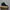 Casual Boots Pria black photo 1