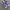Nike Sportswear Casual Sneakers Pria purple white photo 2