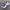 Nike Sportswear Casual Sneakers Pria purple white photo 3