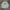 Nike Casual Sweatshirt Pria white photo 1