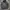 Japanese brand Goth Fairy Parka Pria black photo 1